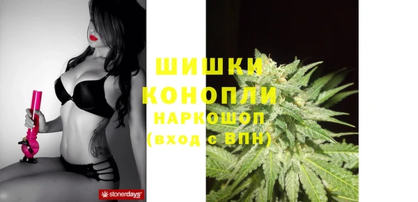 стаф Бронницы