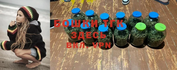 стаф Бронницы
