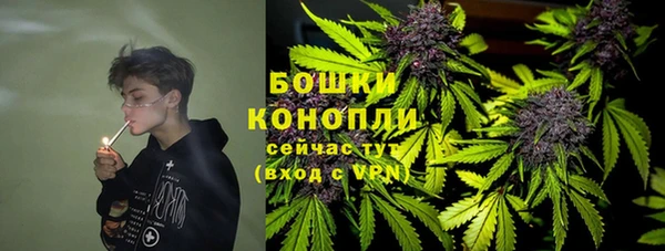 ALPHA PVP Бородино