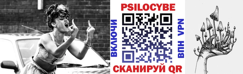 Купить закладки  Судак  Галлюциногенные грибы Magic Shrooms 